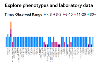 Power BI Report Preview